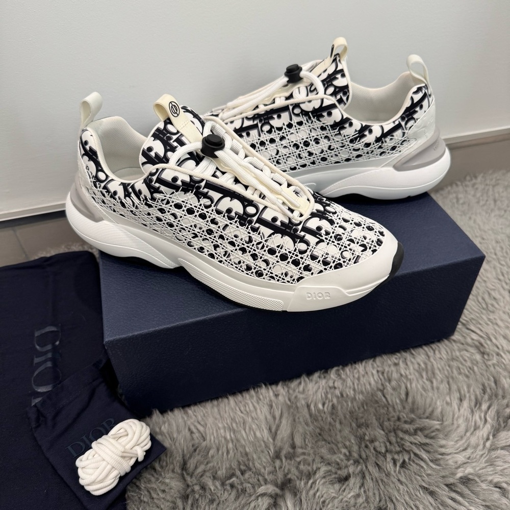 Dior B22 Oblique Mesh Sneakers